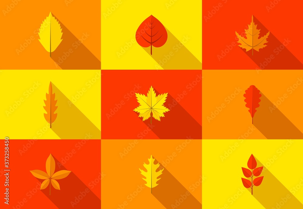 Obraz premium Set of colorful autumn leaves icons with long shadow. Fallen autumn leaves collection in flat style. Vector illustration