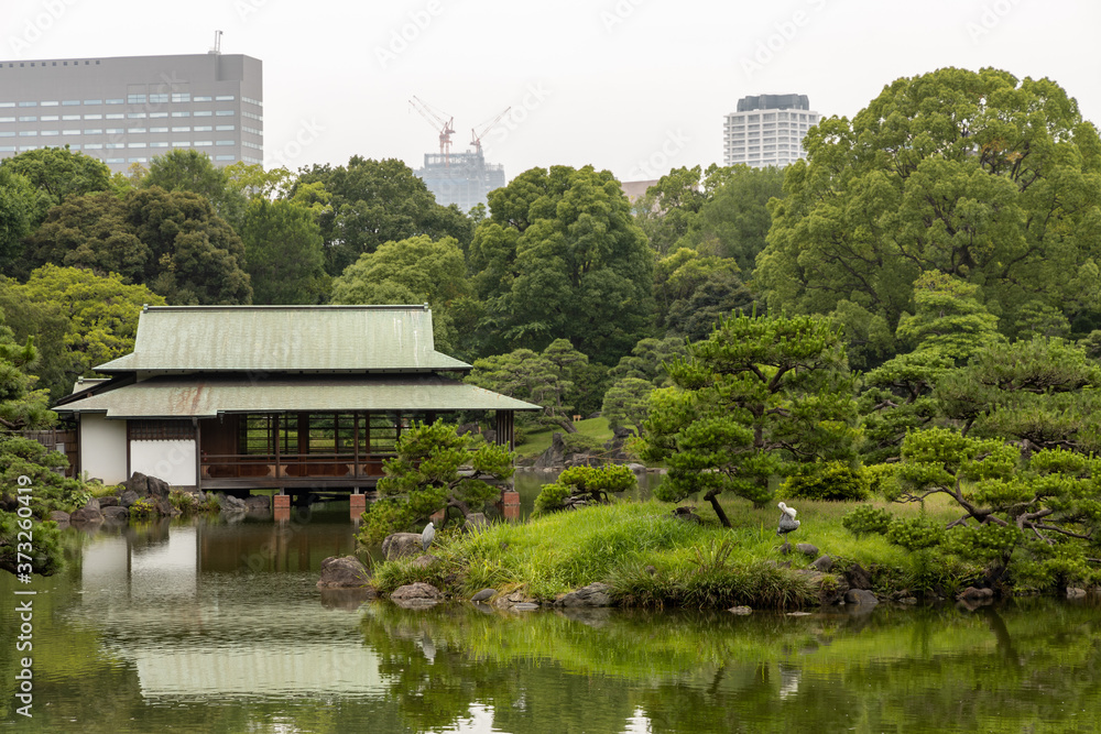 Obraz premium 清澄庭園, 日本庭園