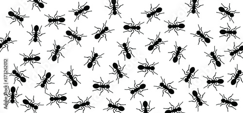 Insect, worker ants marching in search of food sign. Ants crawling, walking in a group or line. Vector seamless pattern of ants. Funny silhouette pictogram. Follow emmet pismire insects banner.
