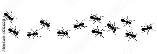 Insect, worker ants marching in search of food sign. Ants crawling, walking in a group or line. Vector seamless pattern of ants. Funny silhouette pictogram. Follow emmet pismire insects banner.