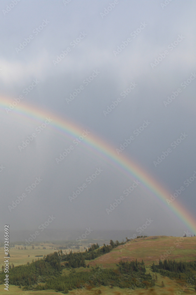 A rainbow in Yellowstone National Park. A rainbow in Yellowstone National Park.