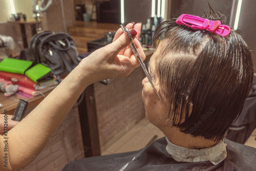 Naklejka premium Image of hairdresser hand cuts client hair with scissors. Hairdresser cuts woman hair