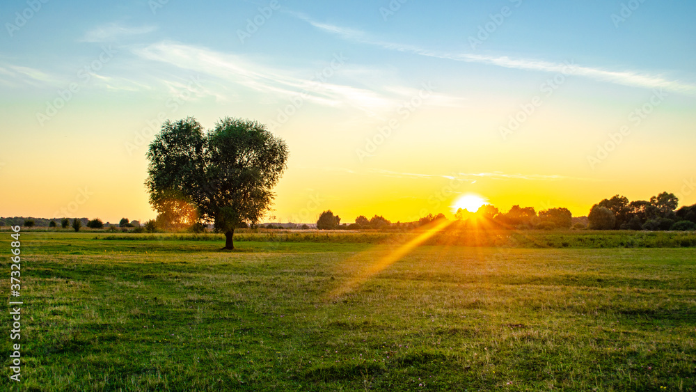 Incredible landscape at sunset with a lone tree in a field in the center of the frame