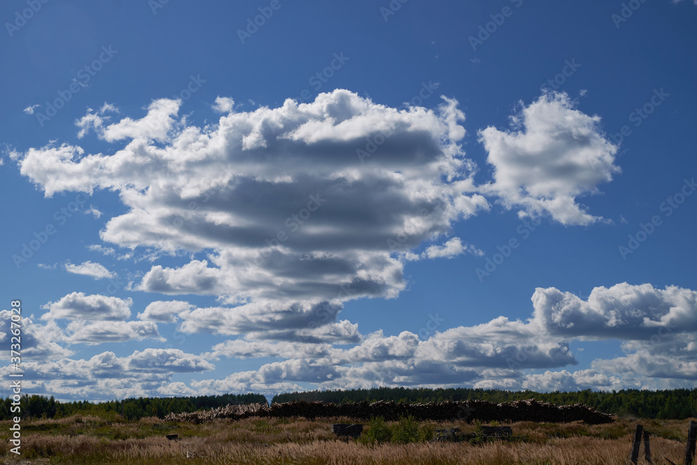 Blue sky and a beautiful cloud with a meadow tree. Normal landscape background for a summer poster. The best view for recreation.