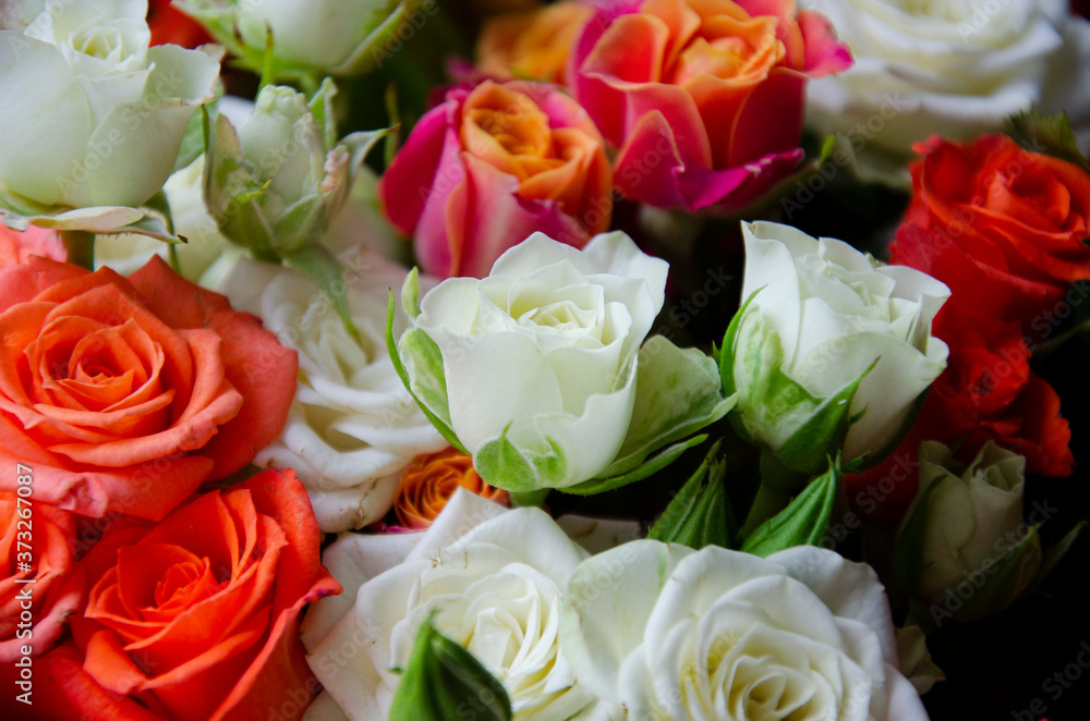 Fototapeta premium Bouquet of small colorful roses