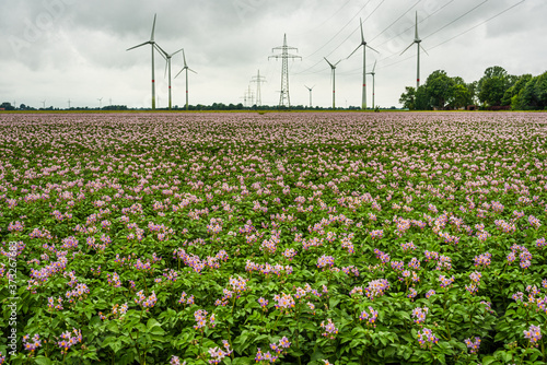 Windpark bei Carolinensiel in Ostfriesland © JEFs-FotoGalerie