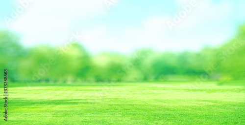 green field and blue sky