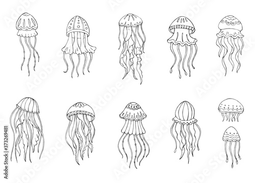 Vector Illustration sketch of jellyfish. Beautiful drawings with patterns and small details. Cartoon jellyfish set.