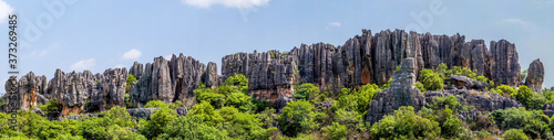 Panoramic view of Naigu Shilin limestone pinnacles Stone forest, Yunnan Province - China. The Stone Forest or Shilin is a UNESCO World Heritage Sites near Kunming