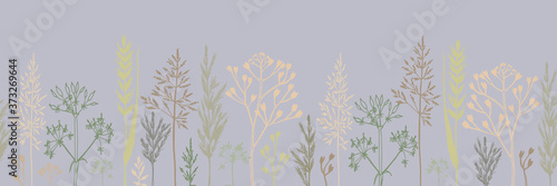Seamless horizontal pattern of different types of field herbs. Beautiful botanical background  perfect for postcards  banner  textiles  wallpaper