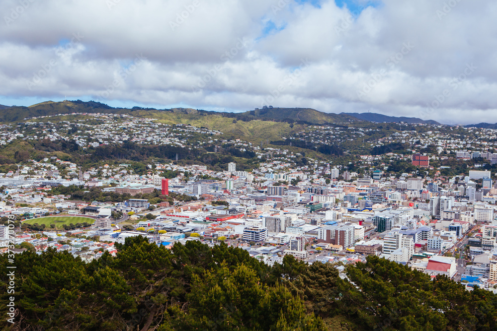 Wellington Skyline in New Zealand