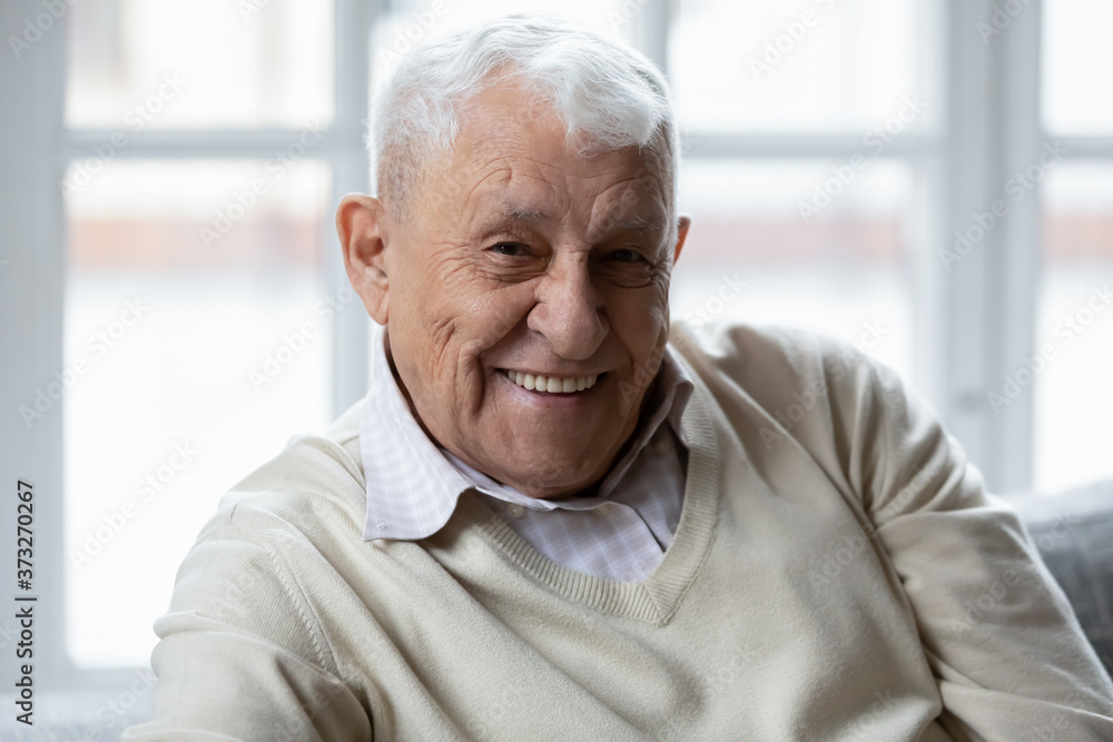 Head shot portrait of happy elderly 80s retired man relaxing on couch indoors. Smiling old mature grandfather looking at camera, feeling healthy alone at retirement house, good mood healthcare concept Head shot portrait of happy elderly 80s retired man relaxing on couch indoors. Smiling old mature grandfather looking at camera, feeling healthy alone at retirement house, good mood healthcare concept