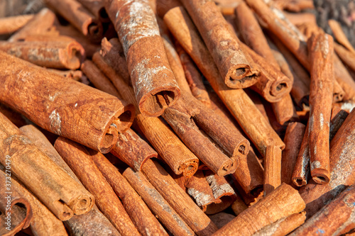 Raw Cinnamon sticks