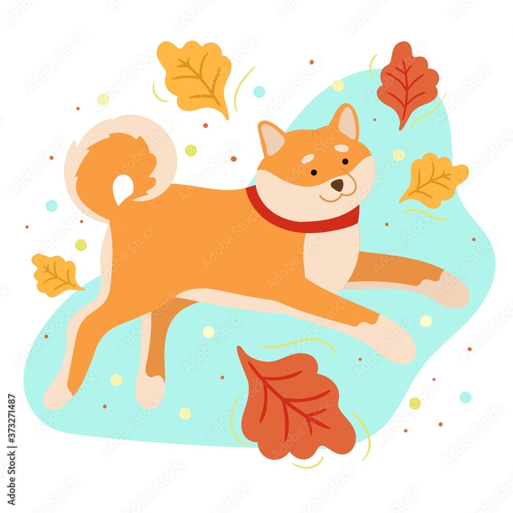 Fototapeta premium Cute Shiba Inu with autumn leaves. Hand drawn vector illustration. Funny dog isolated on white background.