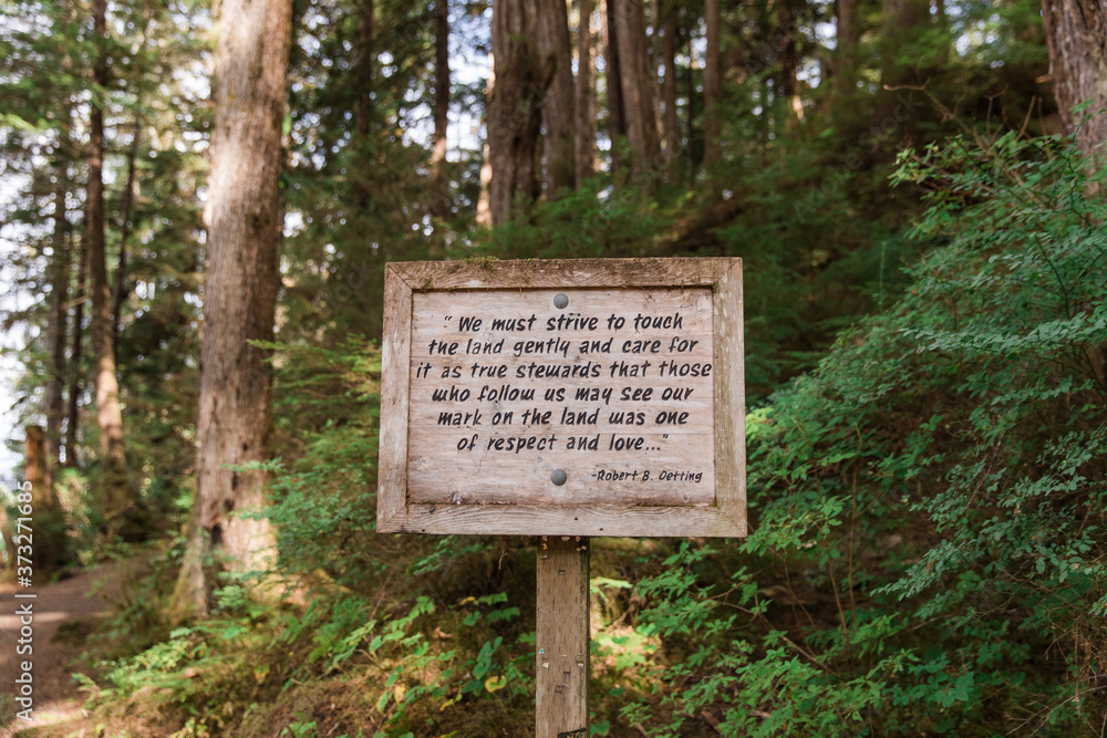 sign in the forest