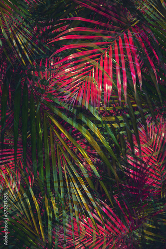 abstract colorful palm tree background