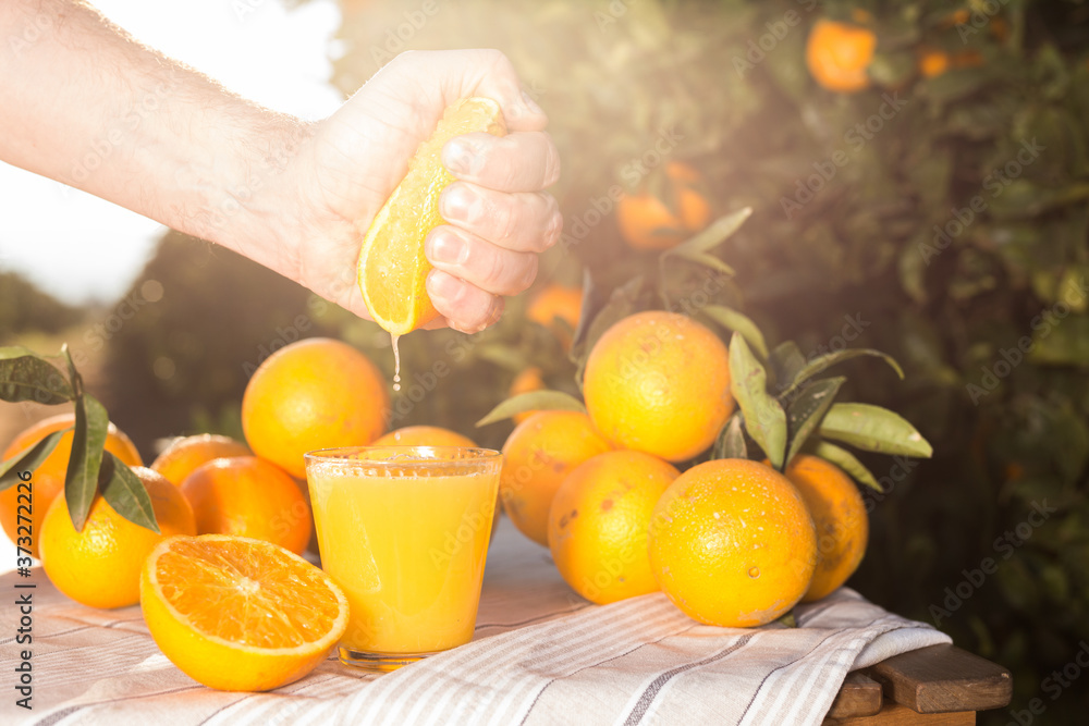 Naklejka premium male hand squeezes juice from half orange into glass on table in garden