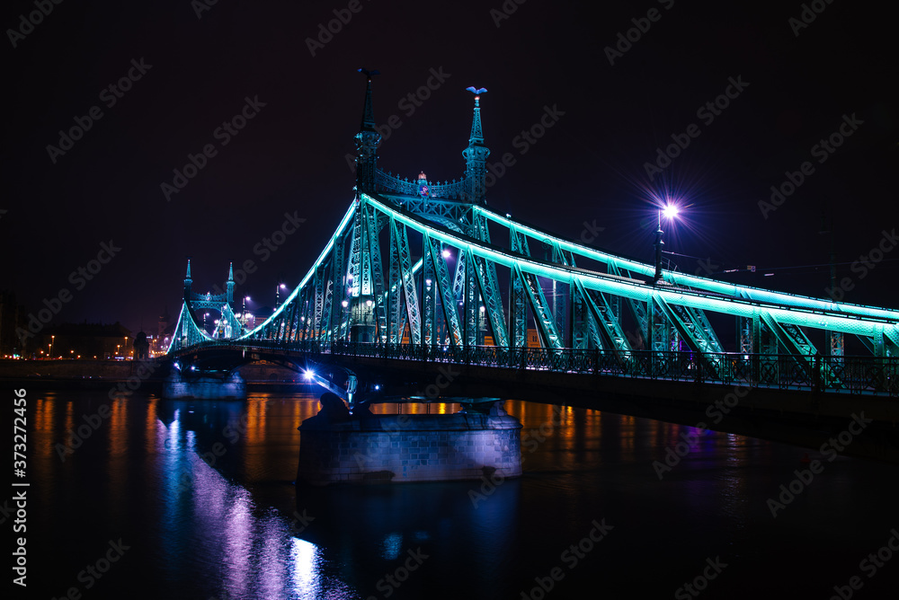 Fototapeta premium Budapest Freedom Bridge at Night Time