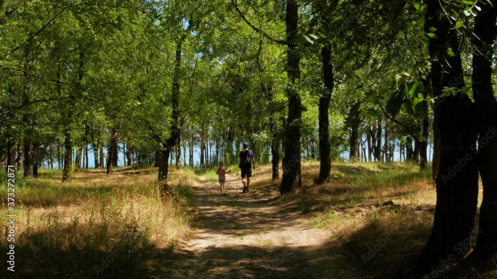 Child girl with father walking in the forest with high pine trees. Eco tourism, healthcare, family hiking trails. Conifer wood with sunrays. Kid with parent walks back view on nature background. 4K Child girl with father walking in the forest with high pine trees. Eco tourism, healthcare, family hiking trails. Conifer wood with sunrays. Kid with parent walks back view on nature background. 4K
