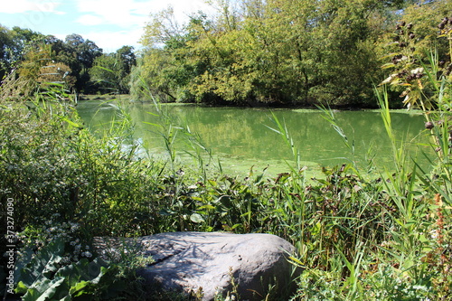 A pond in the park.