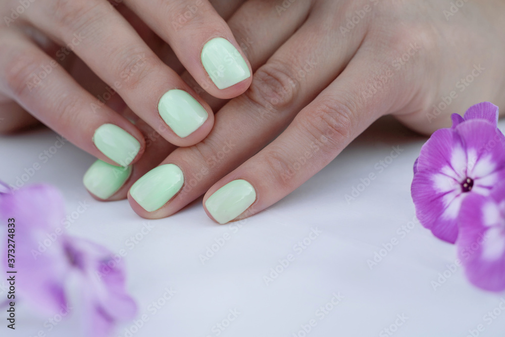 well-groomed, manicured acryl fingers in pastel green colors of the hand lie with pink flowers
well-groomed, manicured acryl fingers in pastel green colors of the hand lie with pink flowers