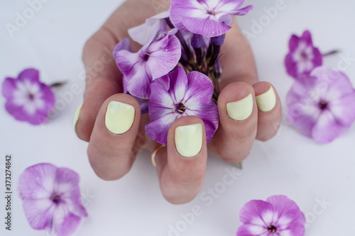 well-groomed, manicured fingers in yellow colors of the hand holds purple flowers