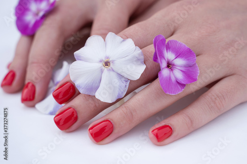 well-groomed, manicured fingers in red colors of the hand lie purple flowers