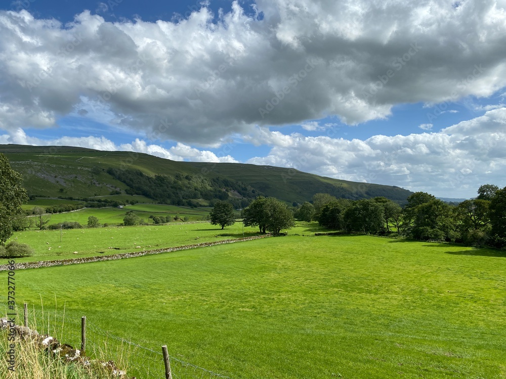 Landscape, looking over extensive meadows, with dry stone walls, trees and hills near, Cray, Buckden, Skipton, UK