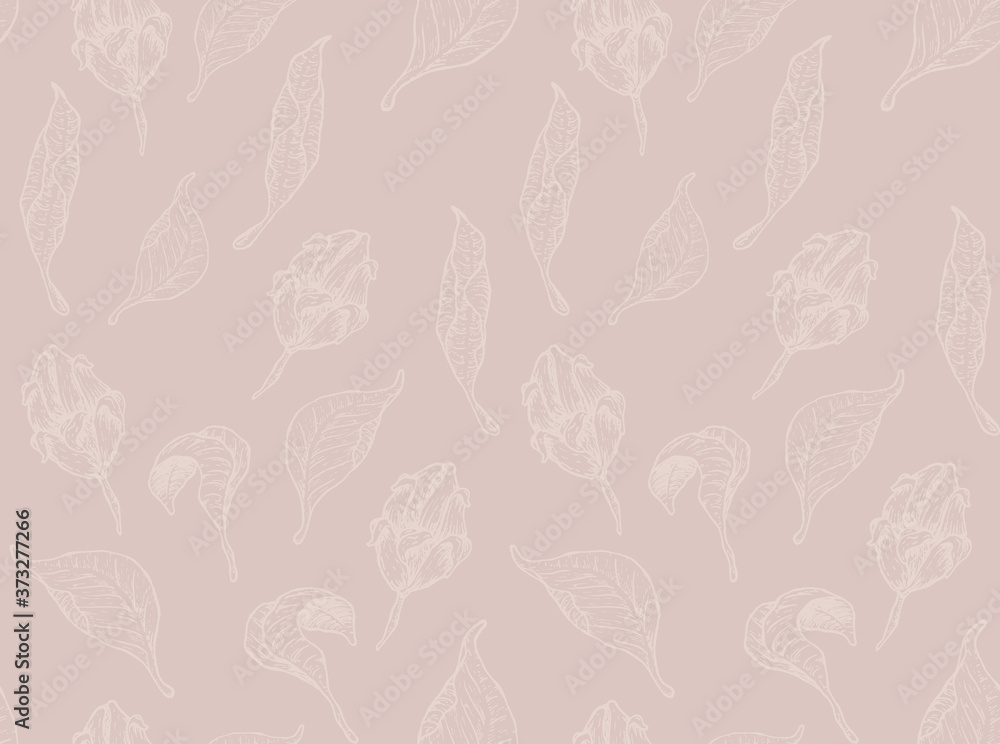Paper texture background, real cardboard pattern Paper texture background, real cardboard pattern