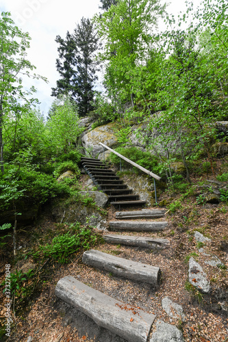 Lynx pathway at Pl  ttig near Baden Baden in the northern Black Forest. Baden Wuerttemberg  Germany  Europe