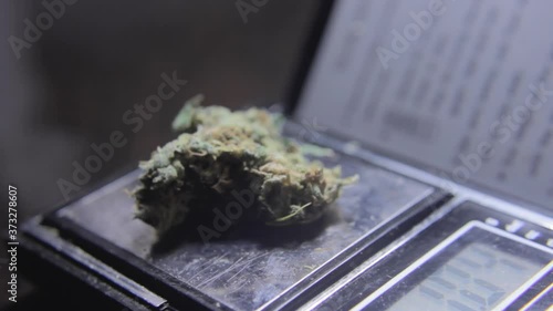 Huckster Selling Narcotics Weighing Cannabis On Scales photo
