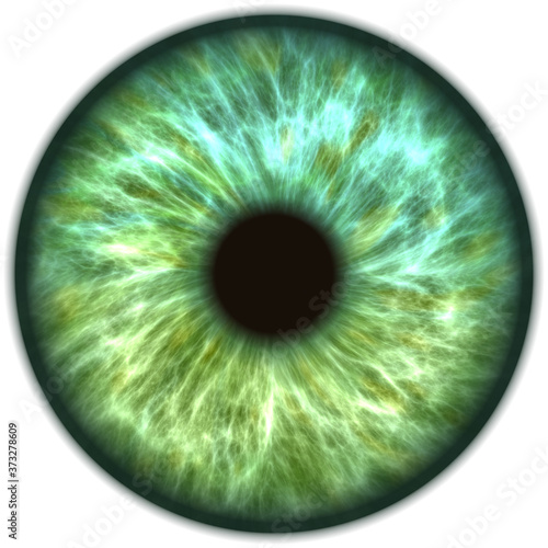 human eye iris