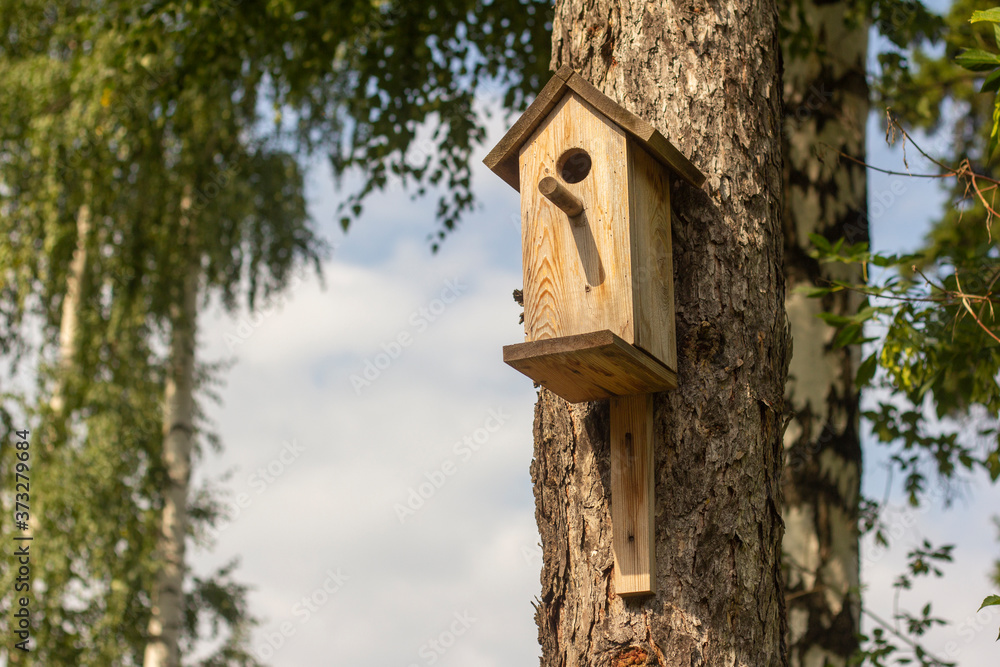 Birdhouse on a pine tree in the Park.
