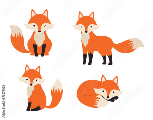 Cute fox cartoon set isolated on white background - Vector illustration