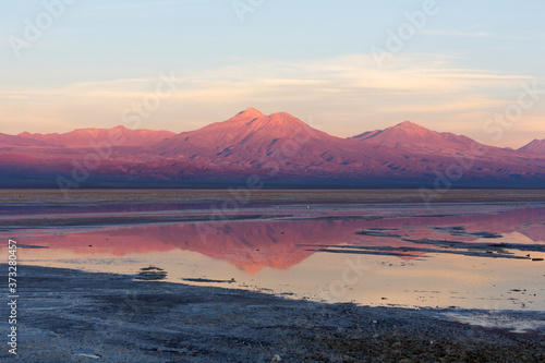 Chaxa lagoon at sunset