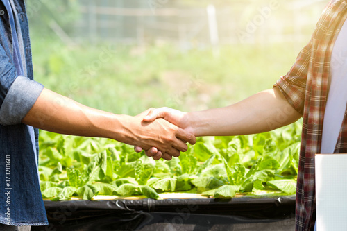 Handshaking between farmers and customers for business partners. Farmer working hydroponic vegetable garden at the greenhouse.