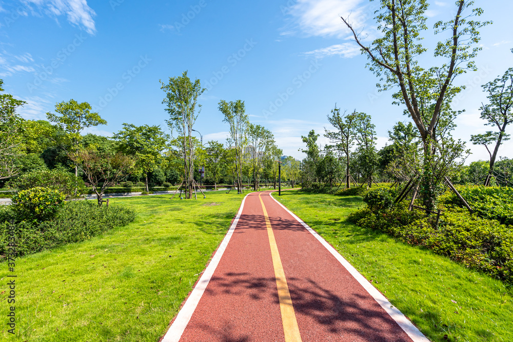 road in park road in park