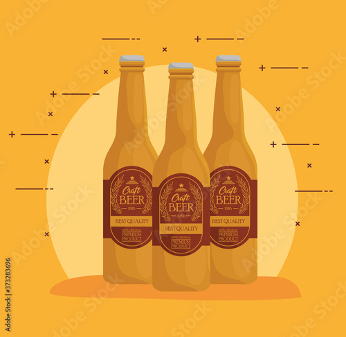 bottles of beers craft of best quality vector illustration design