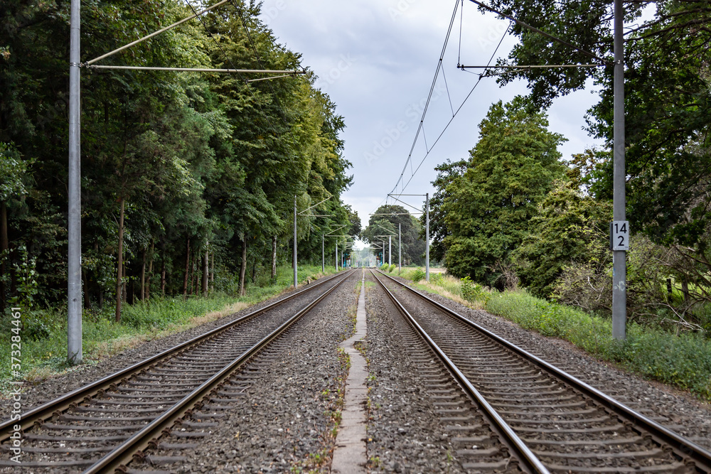 Fototapeta premium railroad tracks in a countryside surroundes by trees, electrical overhead line