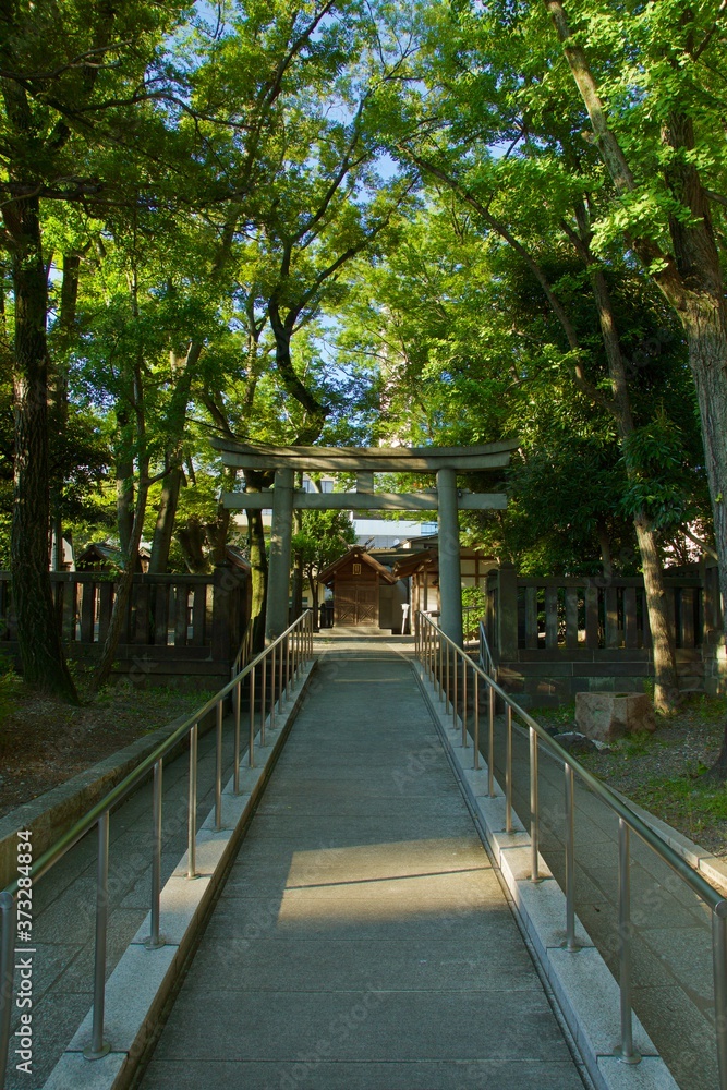富岡八幡宮 林の中の鳥居と祠
鹿嶋神社 大鳥社 富岡八幡宮 林の中の鳥居と祠
鹿嶋神社 大鳥社
