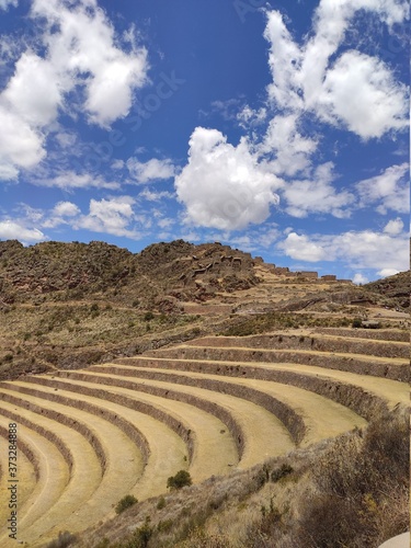 rice terraces in peru