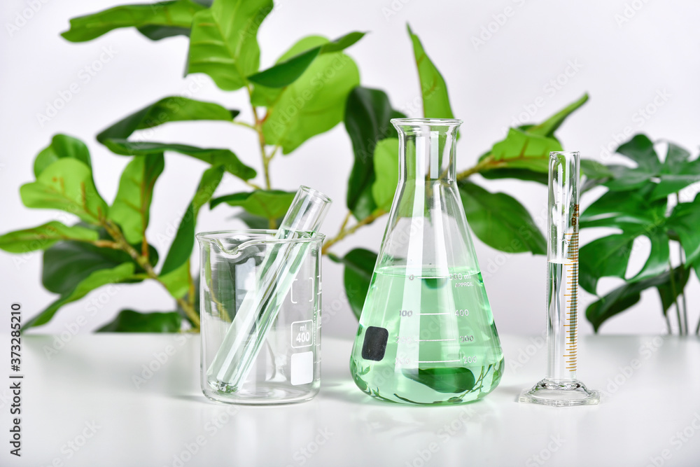 Natural drug research, Plant extraction in scientific glassware, Alternative green herb medicine, Natural organic skincare beauty products, Laboratory and development concept.