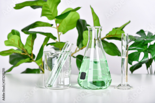 Natural drug research, Plant extraction in scientific glassware, Alternative green herb medicine, Natural organic skincare beauty products, Laboratory and development concept.