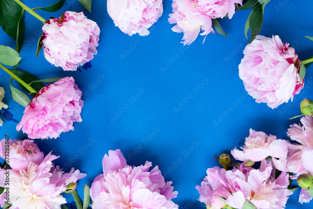 Fresh peony flowers