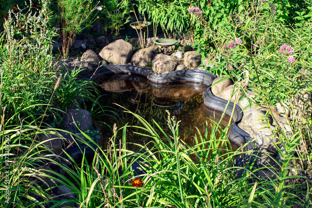 beautiful garden pond among wild plants beautiful garden pond among wild plants