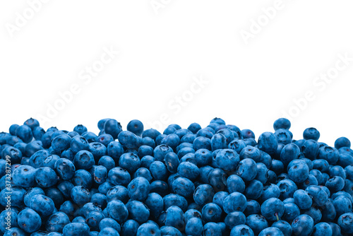 Fresh blueberry background.