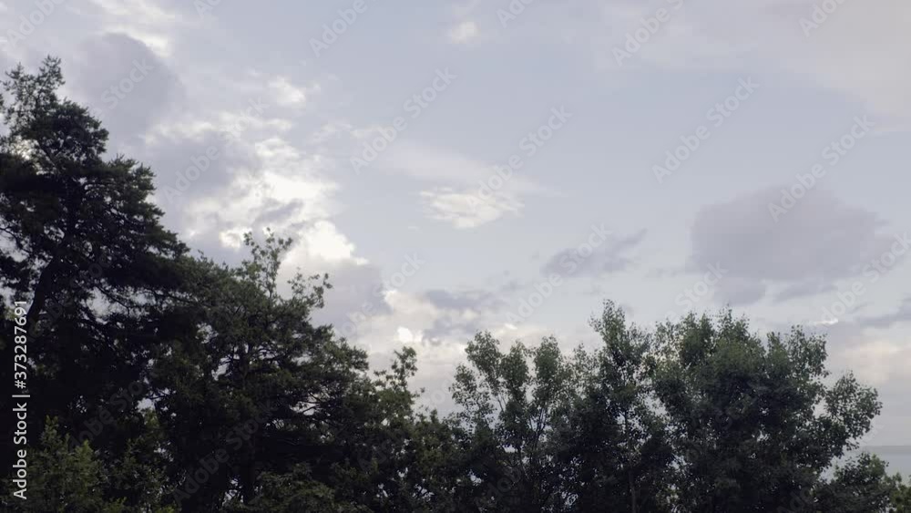 Beautiful nature landscape view from hill down through green trees on Baltic sea surface on blue sky background. Beautiful nature landscape view from hill down through green trees on Baltic sea surface on blue sky background.