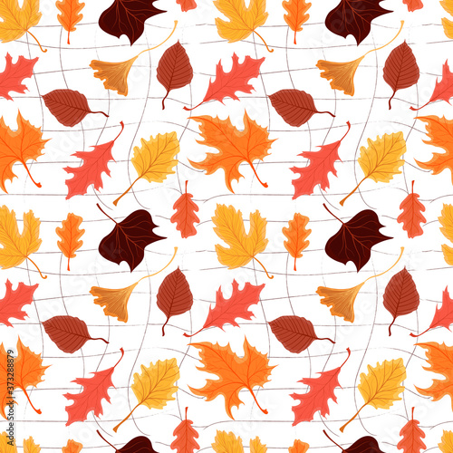 Vector seamless pattern with colorful autumn bright leaves isolated on white background. Design for web page background, autumn greeting cards, wallpaper, gift paper, pattern fills etc.