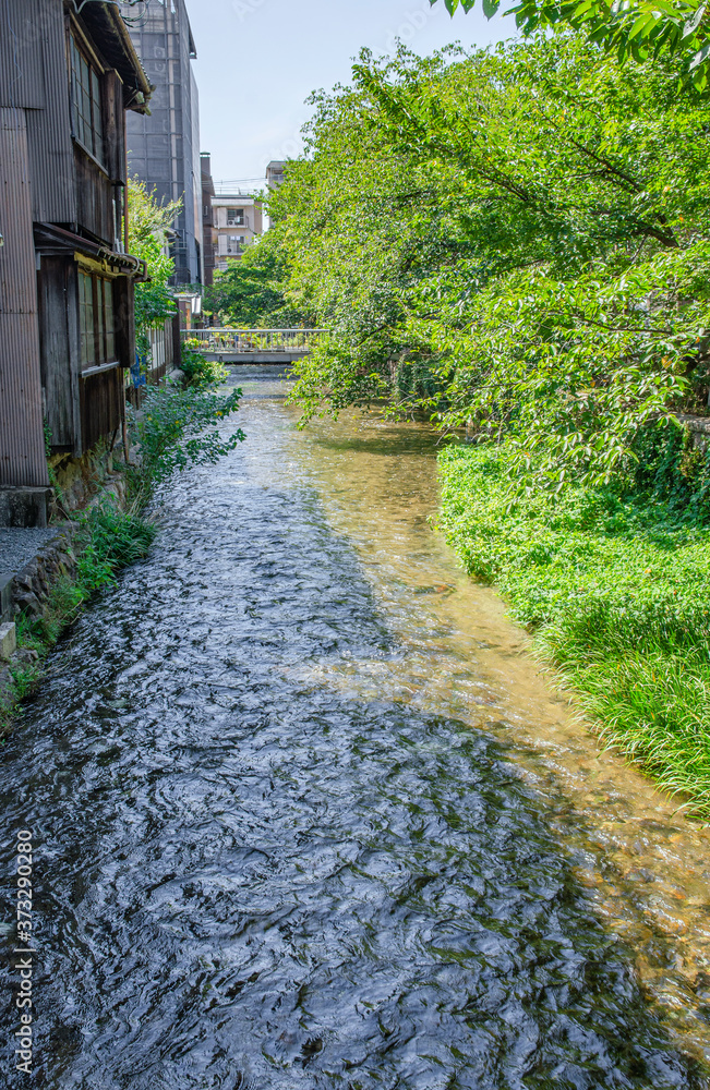 京都の白川
