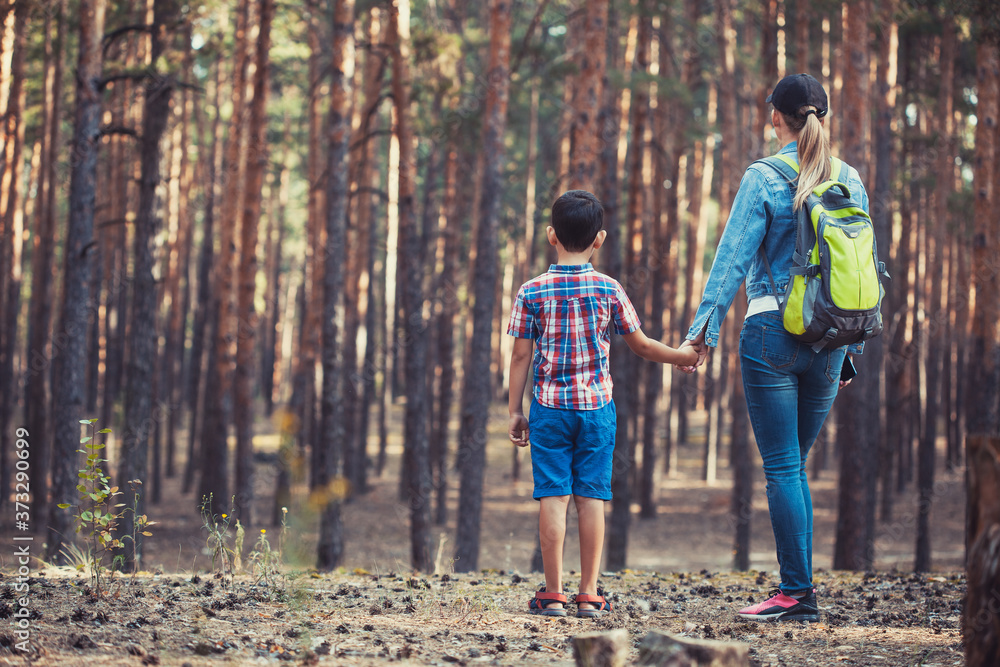 mother and son are walking in a pine forest. Tourism, outdoor activities mother and son are walking in a pine forest. Tourism, outdoor activities